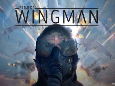 Project Wingman