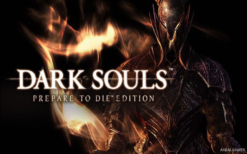 Dark Souls: Prepare to Die Edition Cover Art