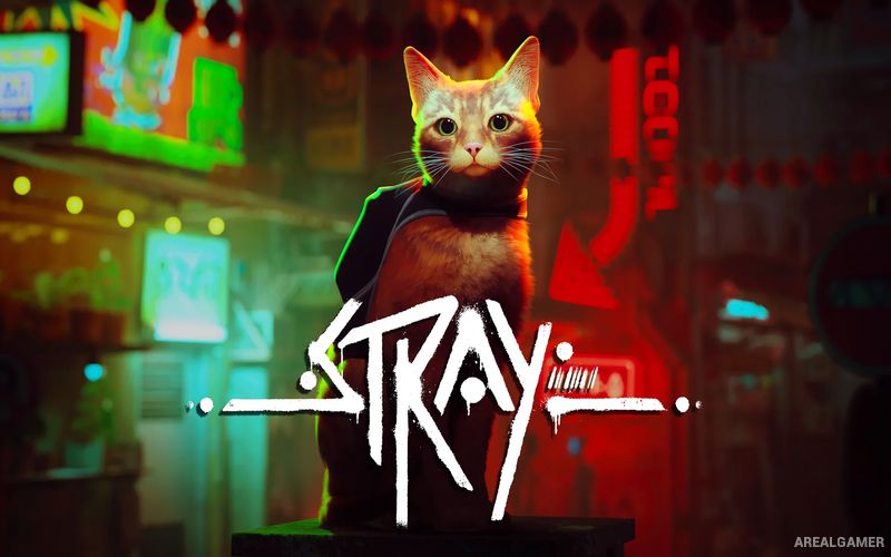 Stray Cover Art