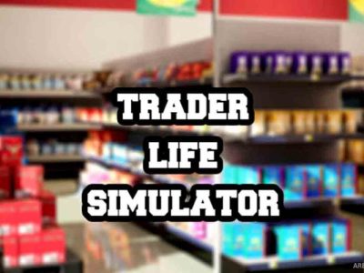 Trader Life Simulator