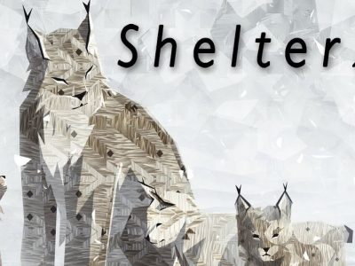 Shelter 2