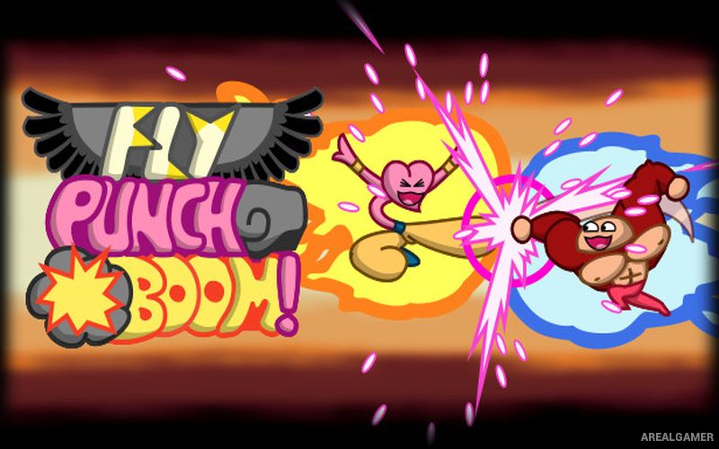 Fly Punch Boom! Cover Art
