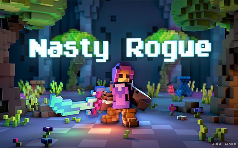 Nasty Rogue Cover Art
