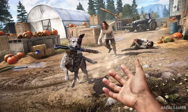 Far Cry 5 Screenshot 3