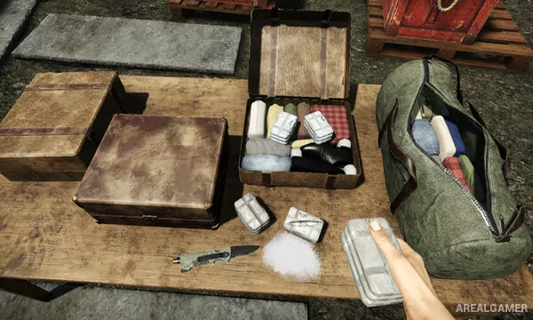 Contraband Police Screenshot 3
