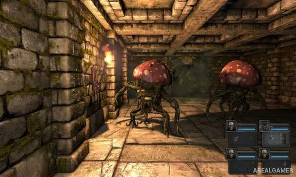 Legend of Grimrock Screenshot 3