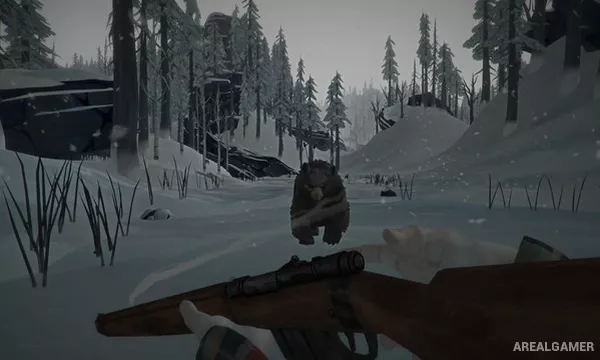 The Long Dark Screenshot 3