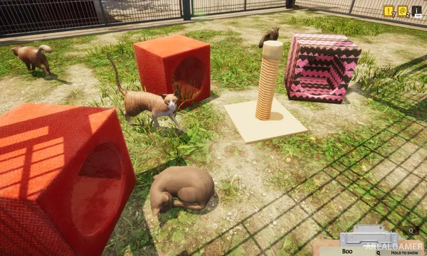 Animal Shelter Screenshot 1