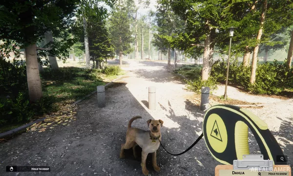Animal Shelter Screenshot 3