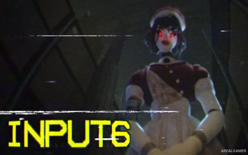 INPUT6 Cover Art