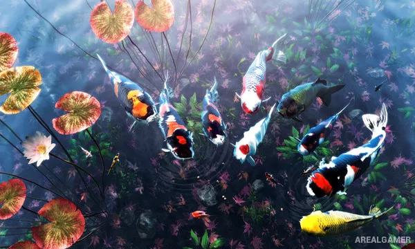 My Koi Screenshot 2