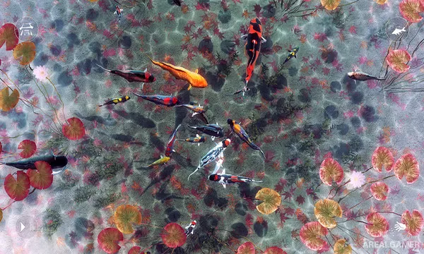 My Koi Screenshot 3