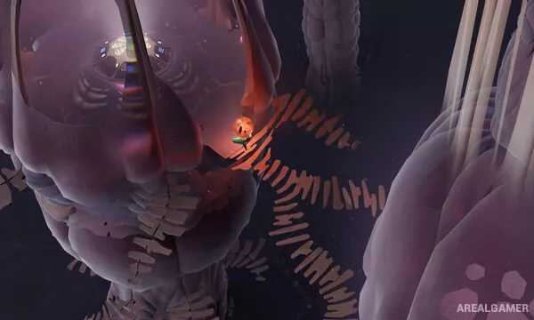 COCOON Screenshot 3