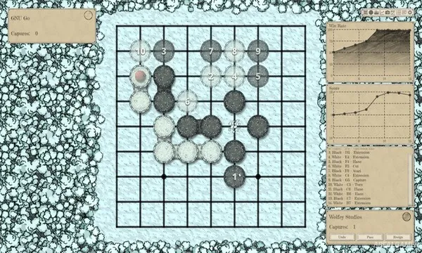 The Conquest of Go Screenshot 3