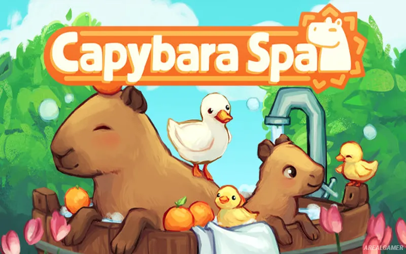 Capybara Spa Cover Art