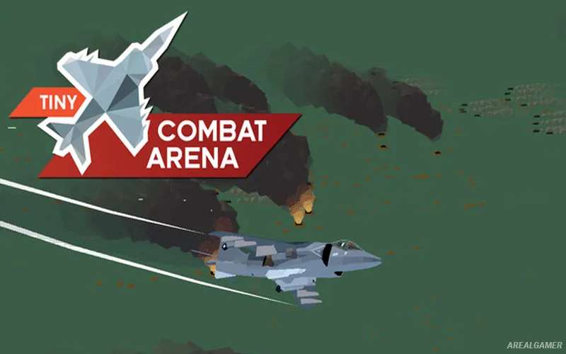 Tiny Combat Arena Cover Art