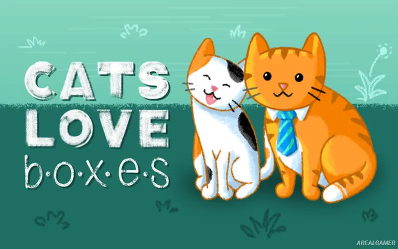 Cats Love Boxes Cover Art