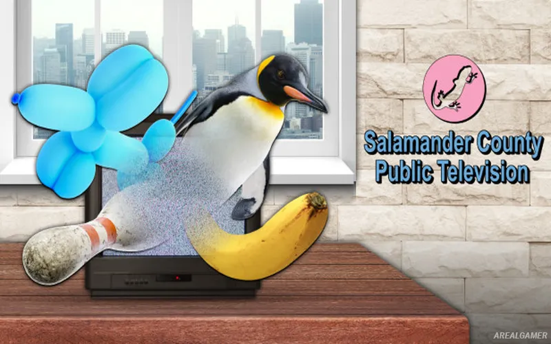 Salamander County Public Television Cover Art