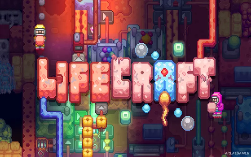 Lifecraft Cover Art