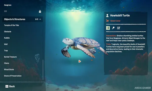 Crab God Screenshot 3