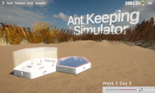 Ant Keeping Simulator Screenshot 2