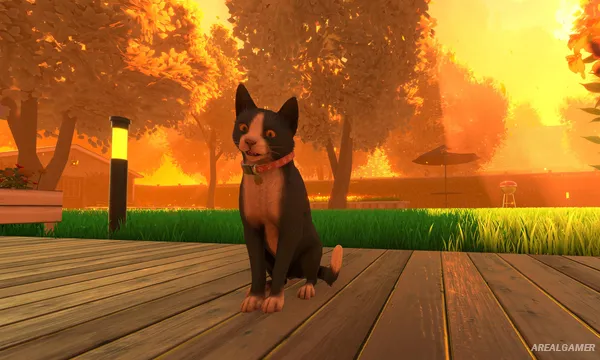 Copycat Screenshot 3