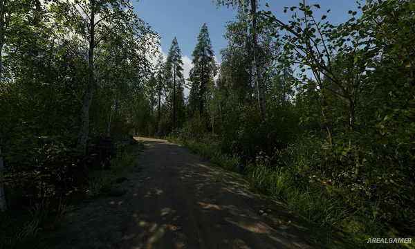 Finnish Cottage Simulator Screenshot 2