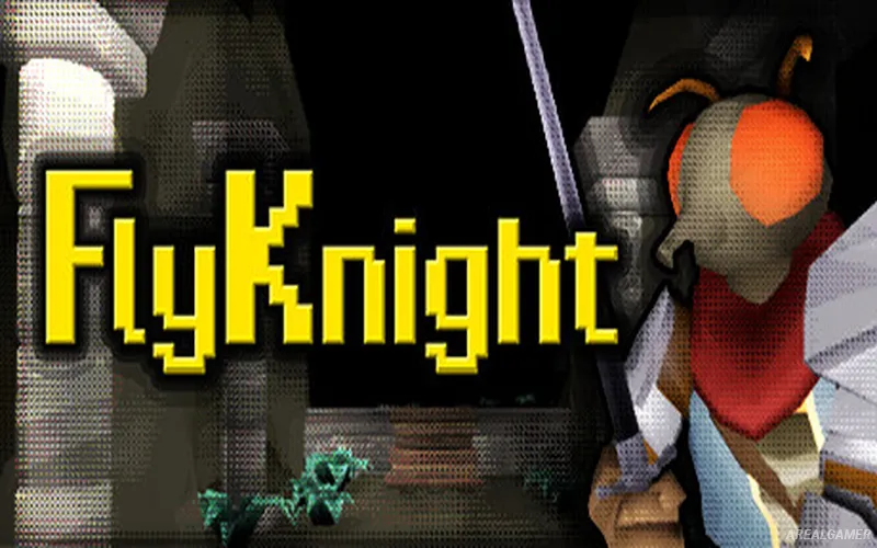 FlyKnight Cover Art