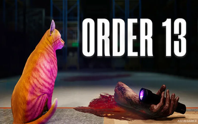 ORDER 13 Cover Art