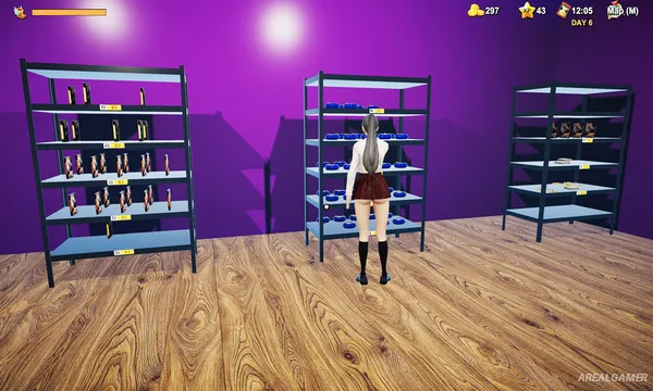 Game Shop Simulator Screenshot 2