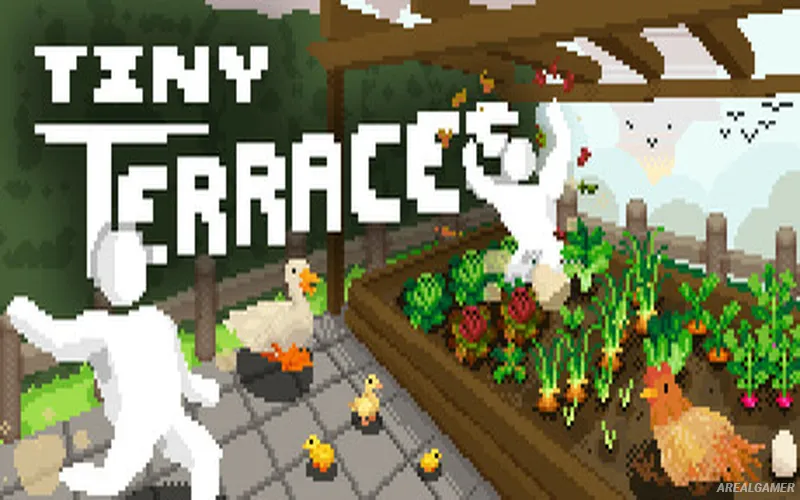 Tiny Terraces Cover Art