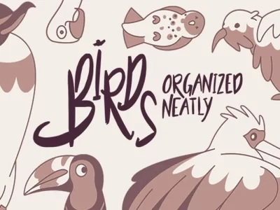 Birds Organized Neatly