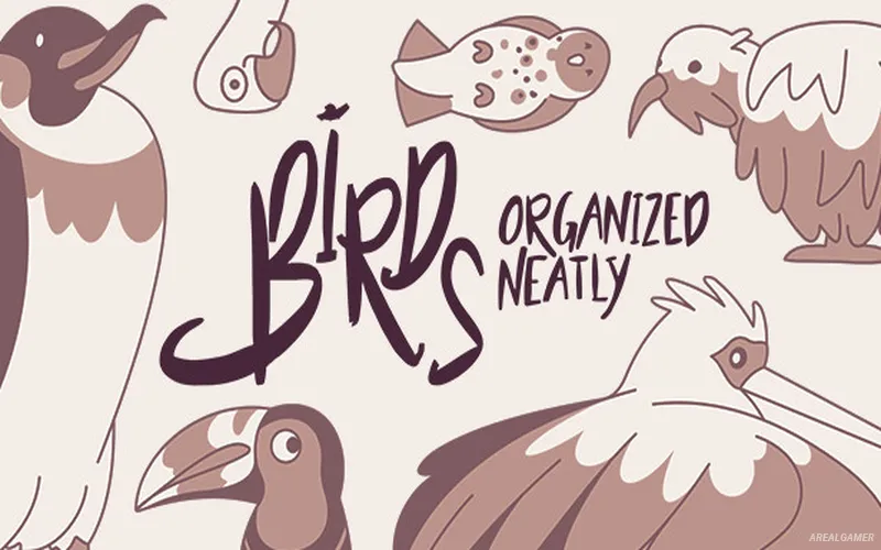Birds Organized Neatly Cover Art